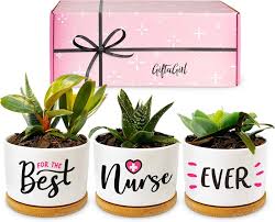gifts for nurse pracioners