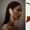Story image for Contemporary Jewelry from New York Times (blog)