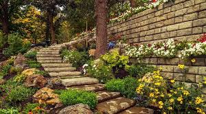 Retaining Wall Plants To Make Your