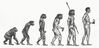 Homo Sapiens: Riassunto - TelodicoIo