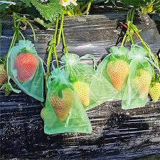 Fruit Protection Bags G Mesh Bag