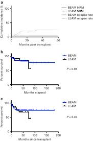 bone marrow transplantation