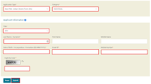 pan card application process on tin