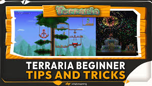 12 terraria beginner tips top picks