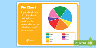 Pie Chart Display Poster Nz Statistics Back To School