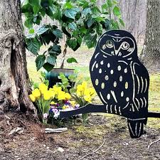 Barn Owl Hoot Owl Yard Art Animals