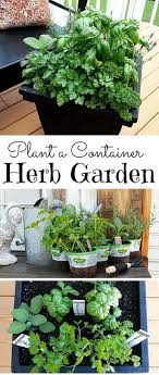 33 Best Container Herb Garden