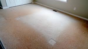 carpet cleaning fargo nd moorehead mn