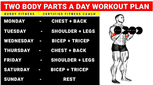 two body parts a day workout plan