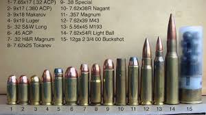 Rifle Cartridge Comparison Chart 12 Gauge Ammo Size Chart