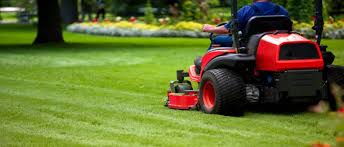 Hire the best lawn care services in san antonio, tx on homeadvisor. Lawn Mowing Services Find Affordable Lawn Mowers Near You
