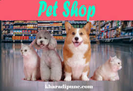 Petsmart is proud to be part of so many with over 1,500 stores nationwide, you can find the products, petsmart grooming, training, petshotel boarding, doggie day camp, and banfield. Pet Shop Near Me Archives Kharadi Pune