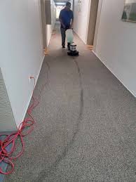 services andys carpet care