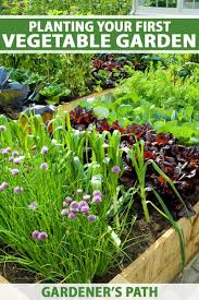 Raised bed vegetable garden planting plans. How To Plant Your First Vegetable Garden Gardener S Path