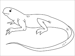Learn coloring for kids iguana, coloring page for kids |snk|. Iguana Coloring Page For Kids Coloringbay