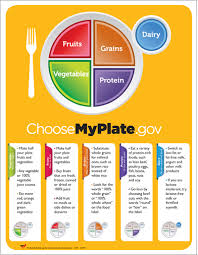 myplate poster for s