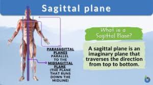 sagittal plane definition and