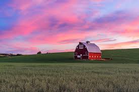 pole barn vs metal buildings compare