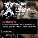 Home | Museu de Ciències Naturals de Barcelona