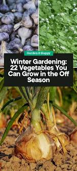 Winter Gardening 22 Vegetables You Can