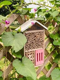 pollinator garden in new england