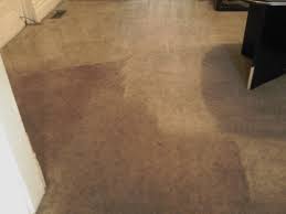 carpet cleaning grand rapids o g