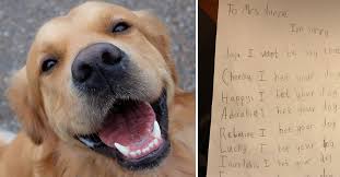 this poem a boy wrote for his dog after