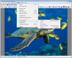 With support for multiple tabs, this straightforward application lets you view images regardless of their format, as well as convert and manage them with ease. Xnview Latest Version Free Download