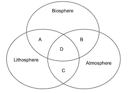 interactions of the four spheres of