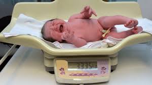 Average Baby Weights In The First Year Kopa Birth