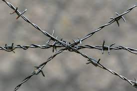 barbed wire copyright free photo by