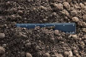 top soil screened or bulk freeman rock