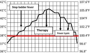 Fever Fever Patterns And Diseases Called Fever A Review
