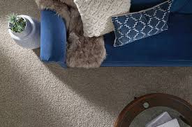 stainmaster carpet petprotect