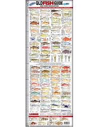 Afn Tasmania Fish Id Ruler Tas