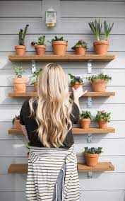 Diy Plant Wall Outdoor Shelves Plant