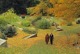 walks archive arnold arboretum