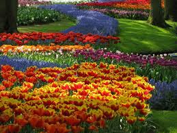 Beautiful Flower Garden Images Posted
