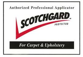 carpet cleaning protector pro team