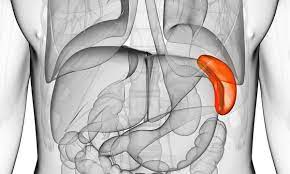 what causes an enlarged spleen