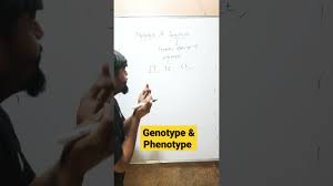 genotype phenotype you