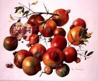 What do pomegranate seeds symbolize?
