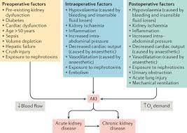 postoperative acute kidney injury in