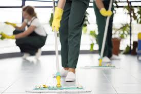 About Professional Cleaning Services