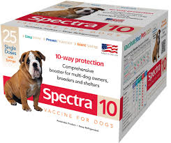 Canine Spectra 10 Durvet