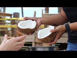How to open a coconut (without special tools). How To Open A Coconut Step By Step Sip Bite Go