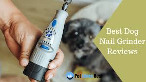 The 10 Best Dog Nail Grinders Of 2019 Reviews For Small