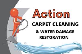 action carpet cleaning carpet
