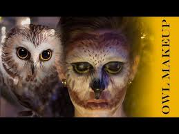owl makeup you