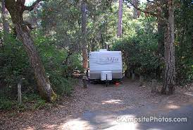 Hours may change under current circumstances Henry Cowell Redwoods State Park Campsite Photos Camping Info